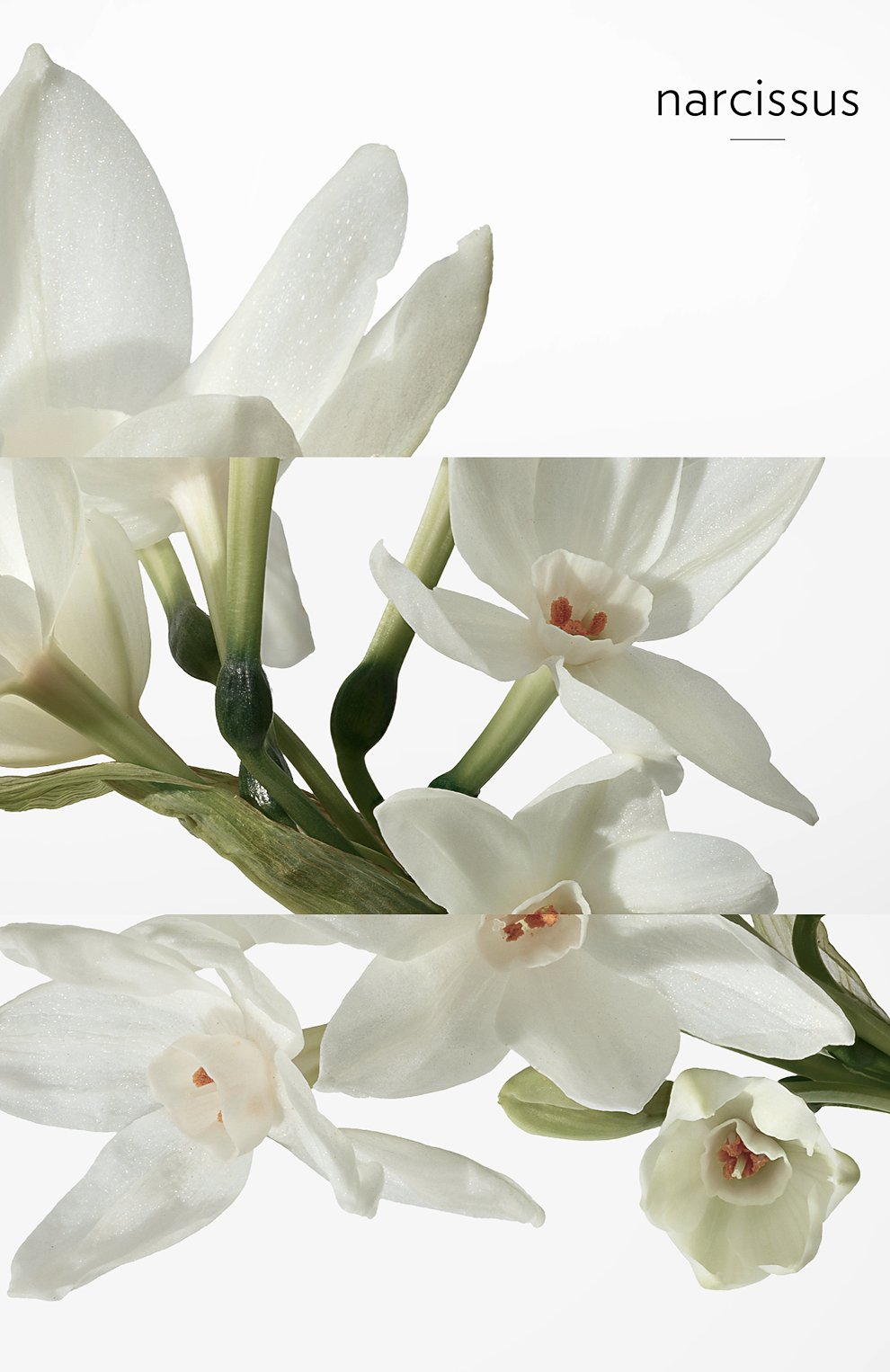 Туалетная вода h24 (50ml) HERMÈS, арт. 101563V0H, фото 6