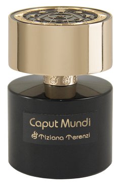 Духи caput mundi (100ml) TIZIANA TERENZI бесцветного цвета, арт. 8016741582578 | Фото 1 (Косметика кросс-кт: Парфюмерия У; Обьем косметики: 100ml; Тип продукта - парфюмерия: Духи; Ограничения доставки: flammable)