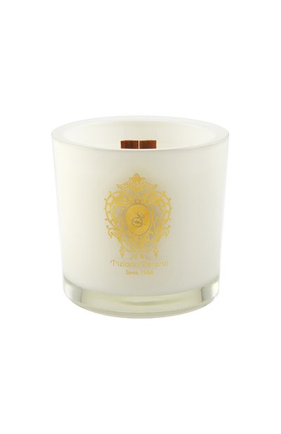 Foco свеча с ароматом духов kirke' (500g) TIZIANA TERENZI, арт. 8016741402494, фото 2