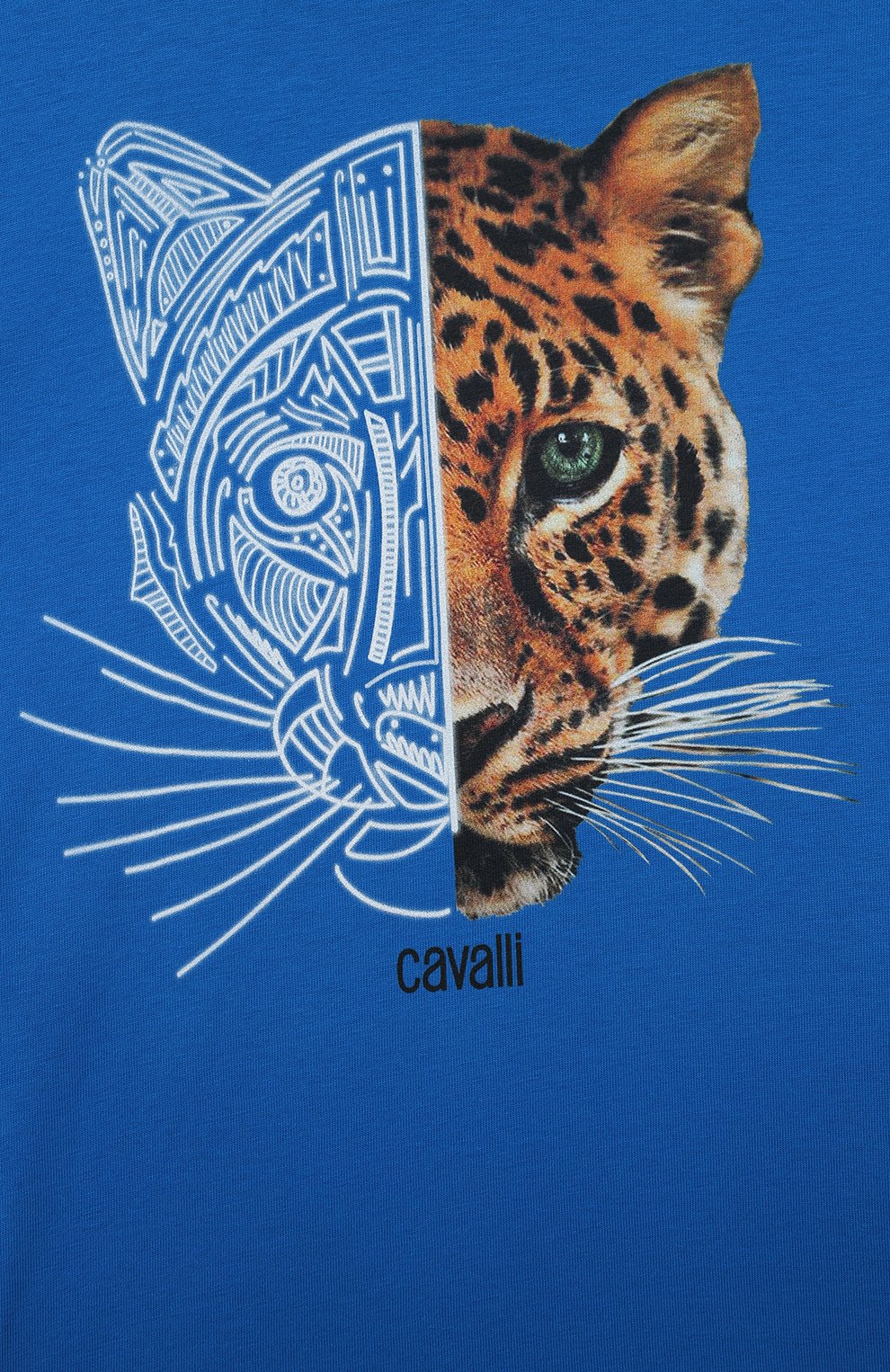 Хлопковая футболка ROBERTO CAVALLI, арт. QJT645/JV025/04A-10A, фото 3