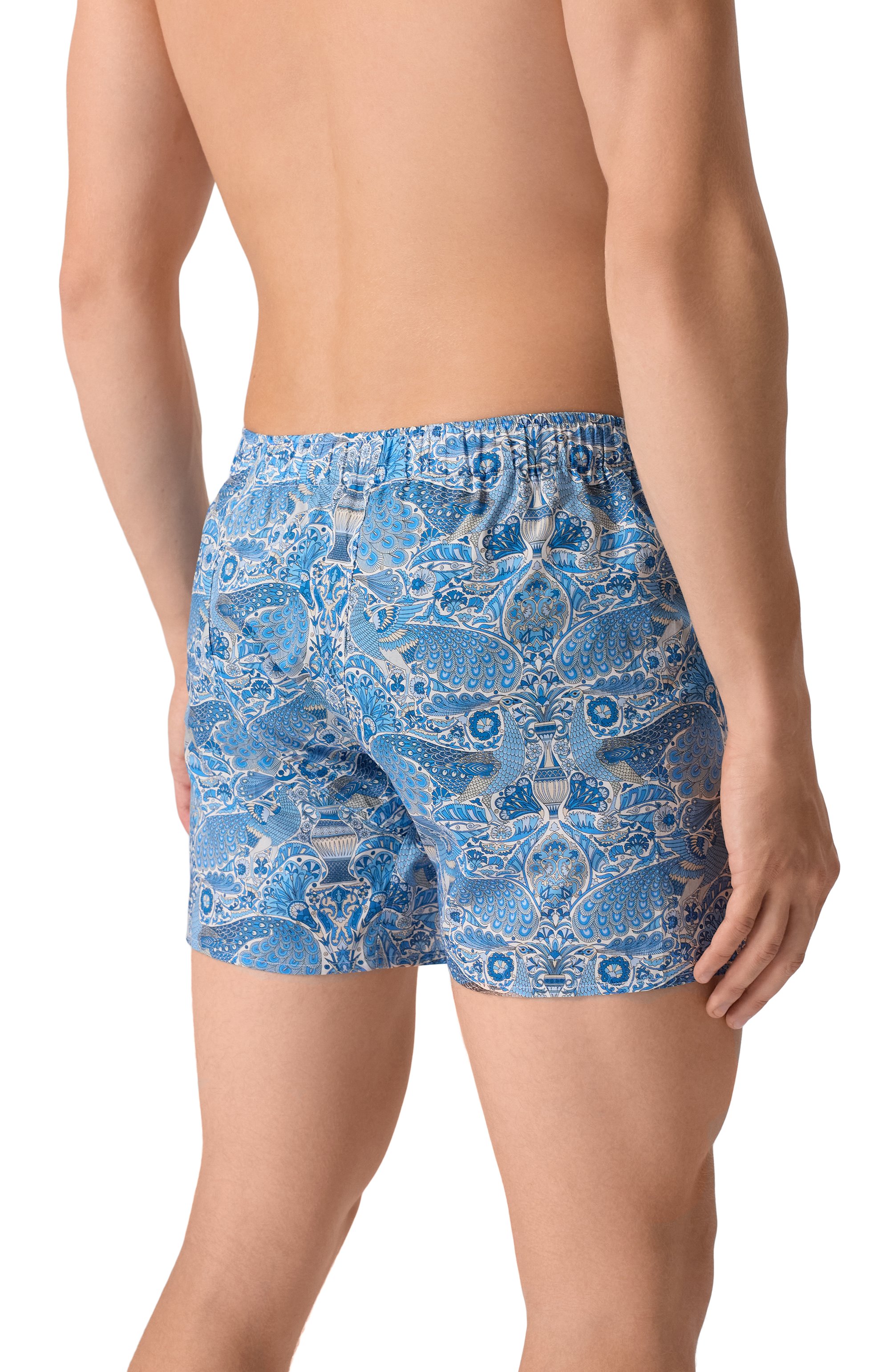 Хлопковые боксеры ROBERTO RICETTI, арт. B0XER DB1/0R034054, фото 3