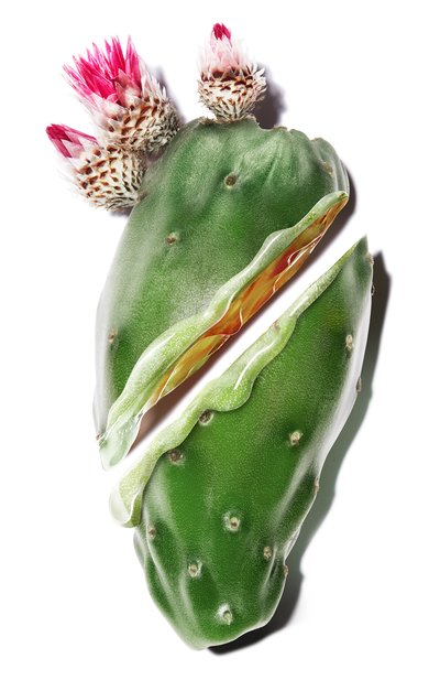 Сыворотка pure shots y-shape (30ml) YSL бесцветного цвета по цене 10050 руб., арт. 3614272353558, фото 3 Сыворотка pure shots y-shape (30ml) YSL, арт. 3614272353558, фото 3