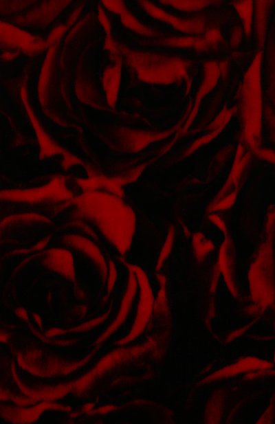 Топ из вискозы и шелка DRIES VAN NOTEN, арт. 212-010754-3007, фото 5