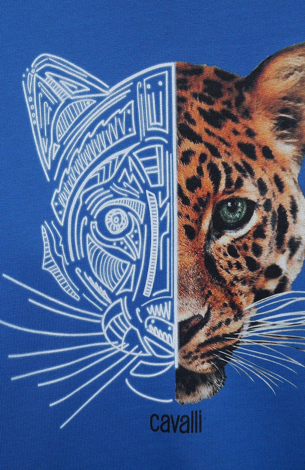 Хлопковое худи ROBERTO CAVALLI, арт. QJT934/CF050/04A-10A, фото 3