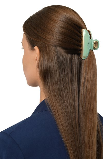 Заколка для волос ALEXANDRE DE PARIS, арт. ICCM-15571-03A24 OV, фото 2