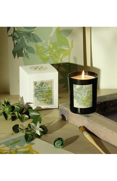 Свеча в стакане neroli casablanca LALIQUE, арт. B30181 ARTIST, фото 2