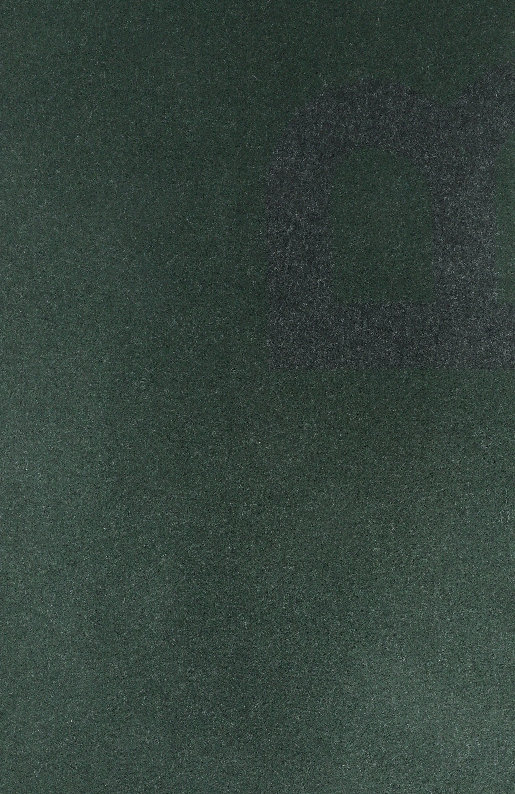 Шерстяной шарф BOGNER, арт. 98089307, фото 4