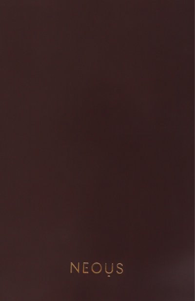 Сумка dorado 2.0 NEOUS, арт. 00045AS23, фото 3