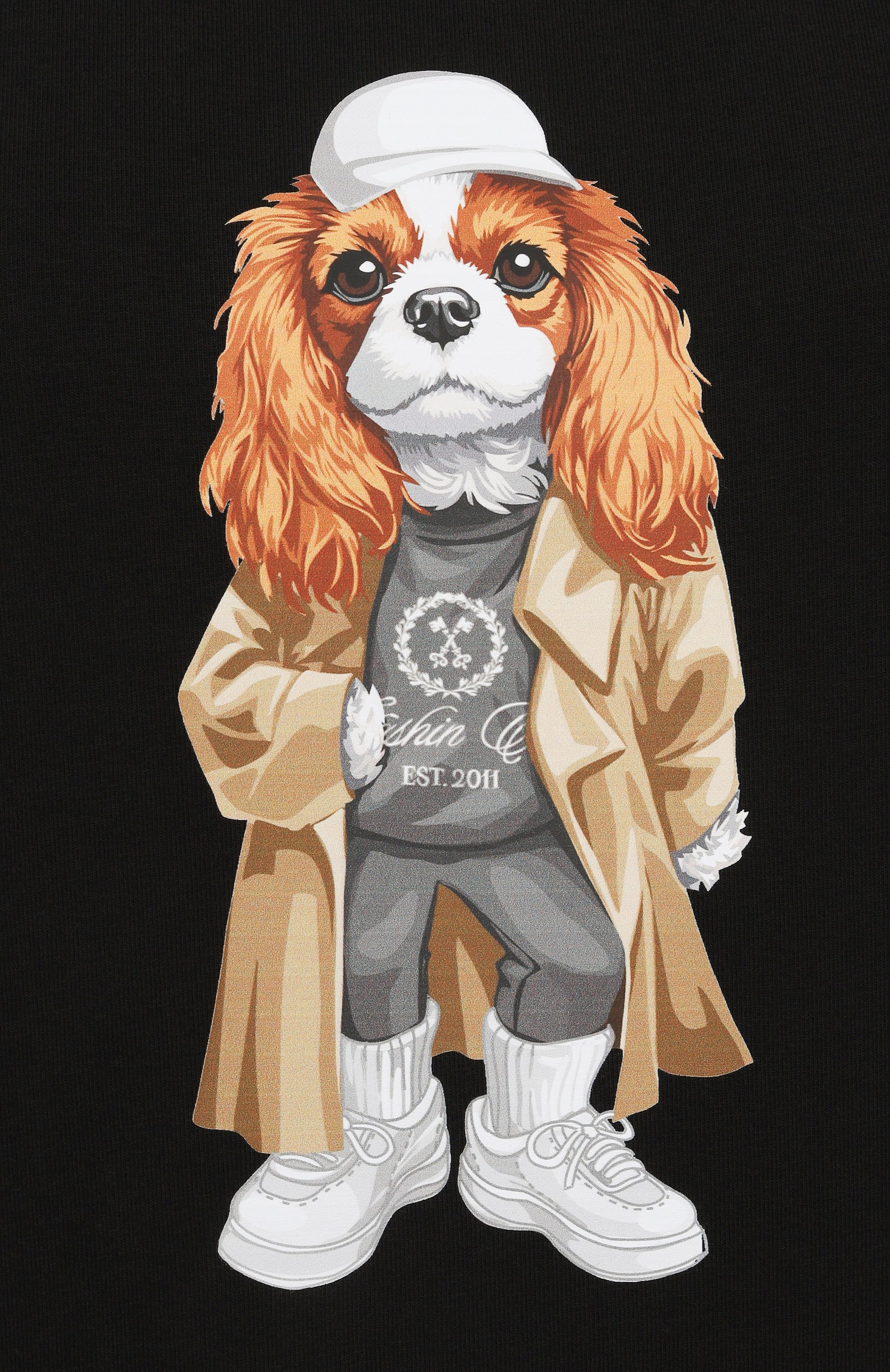 Хлопковая футболка FLASHIN, арт. FS25TBSH, фото 6