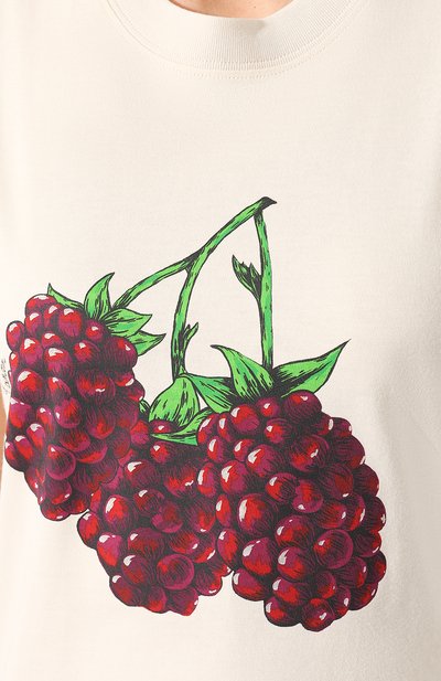 Хлопковая футболка LANVIN кремового цвета по цене 39200 руб., арт. RW-T0662J-JU03-P20, фото 5 Хлопковая футболка LANVIN, арт. RW-T0662J-JU03-P20, фото 5