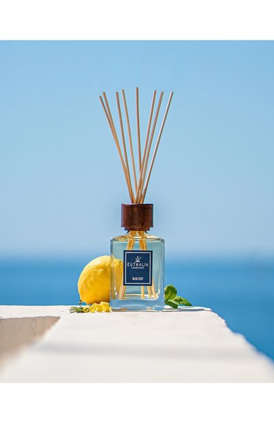 Диффузор blue zest (100ml) EUTHALIA FRAGRANCES, арт. 4603336950030, фото 3