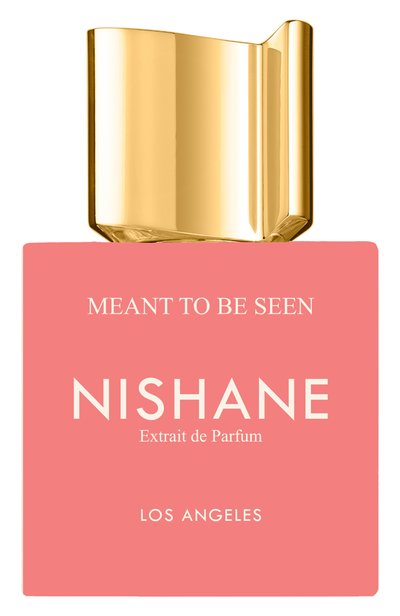 Духи meant to be seen (100ml) NISHANE, арт. 8683608072437