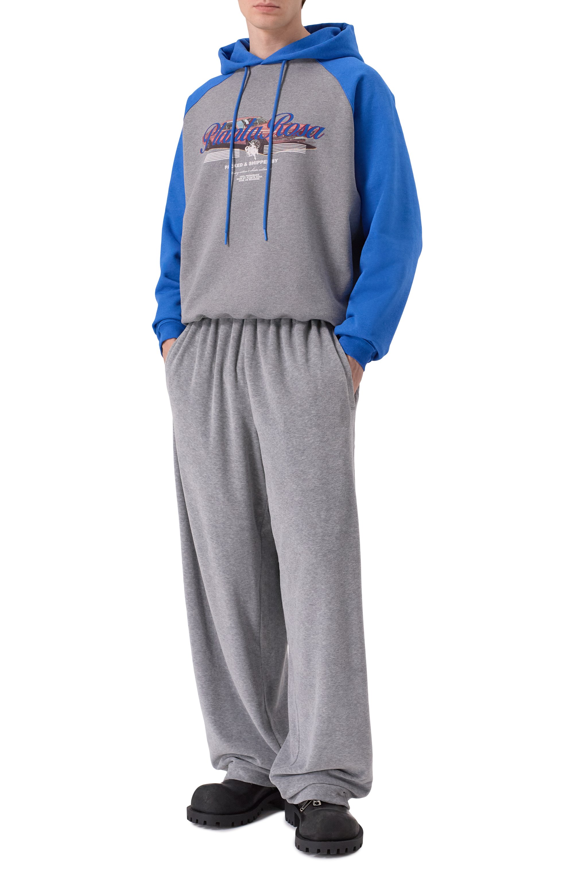 Хлопковое худи PLANTA ROSA, арт. PR/H/CAR-RACING/470, фото 2