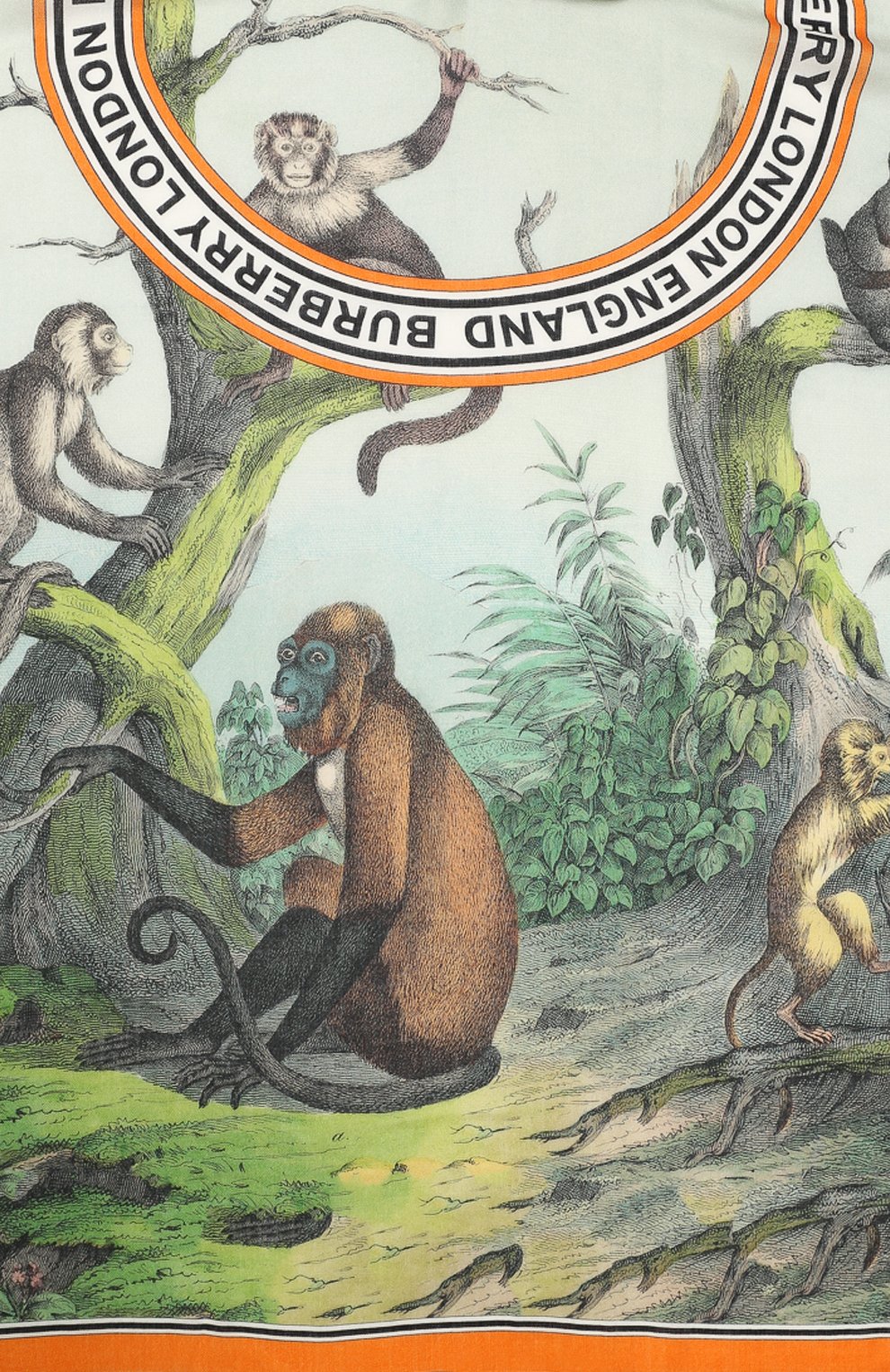 Кашемировый шарф BURBERRY зеленого цвета по цене 116500 руб., арт. 8026992, фото 3 Кашемировый шарф BURBERRY, арт. 8026992, фото 3