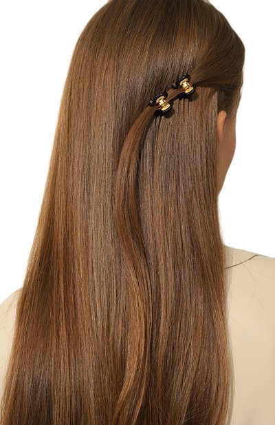 Комплект из двух заколок для волос ALEXANDRE DE PARIS, арт. ICCXS-14338-02P23 ON, фото 2