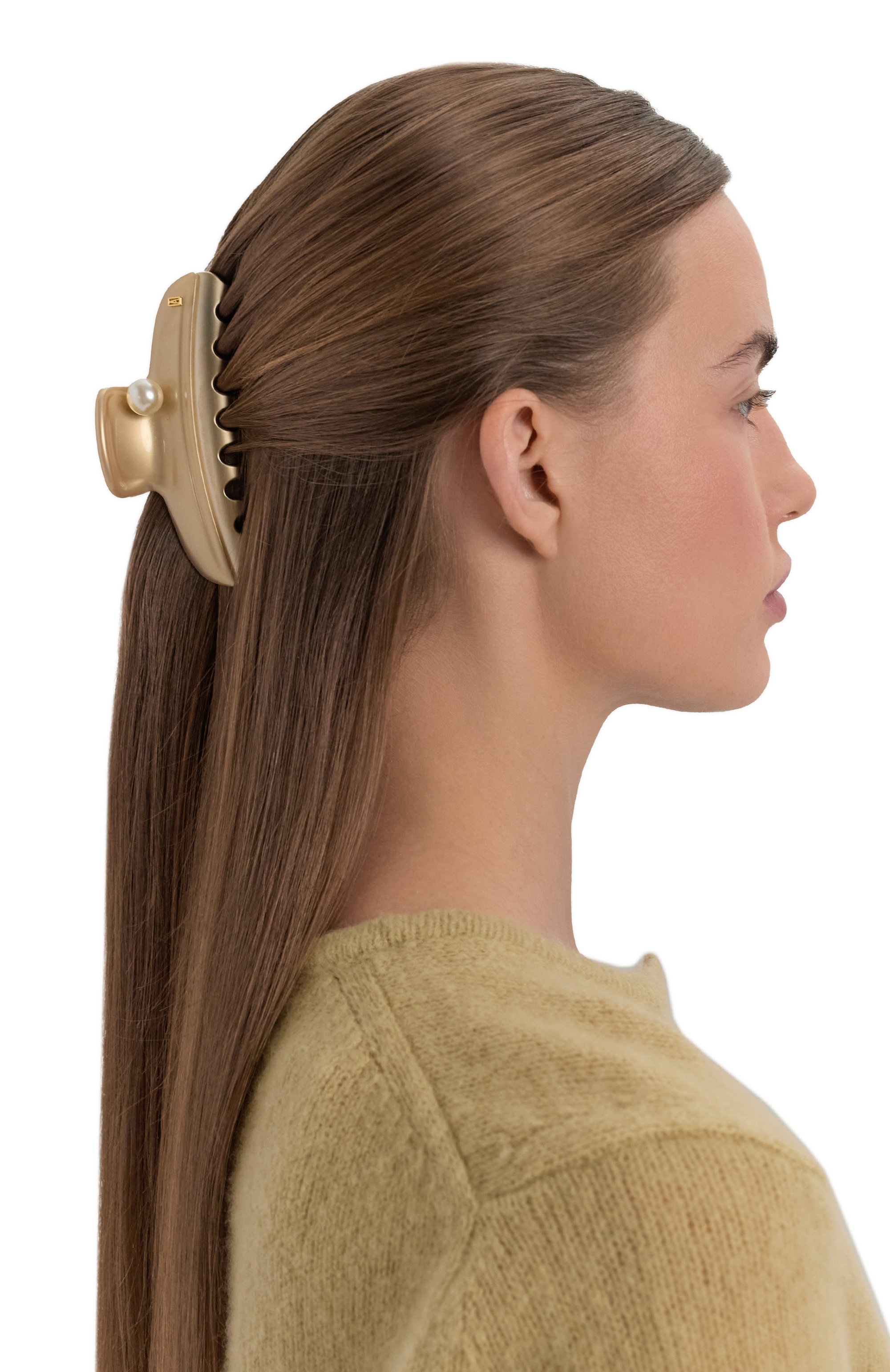 Заколка для волос ALEXANDRE DE PARIS, арт. ICCL-12832-17 D, фото 2