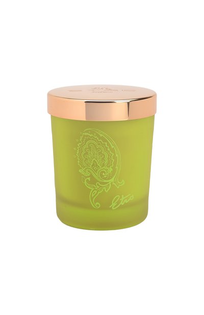 Парфюмированная свеча dafne (170g) ETRO, арт. 60077