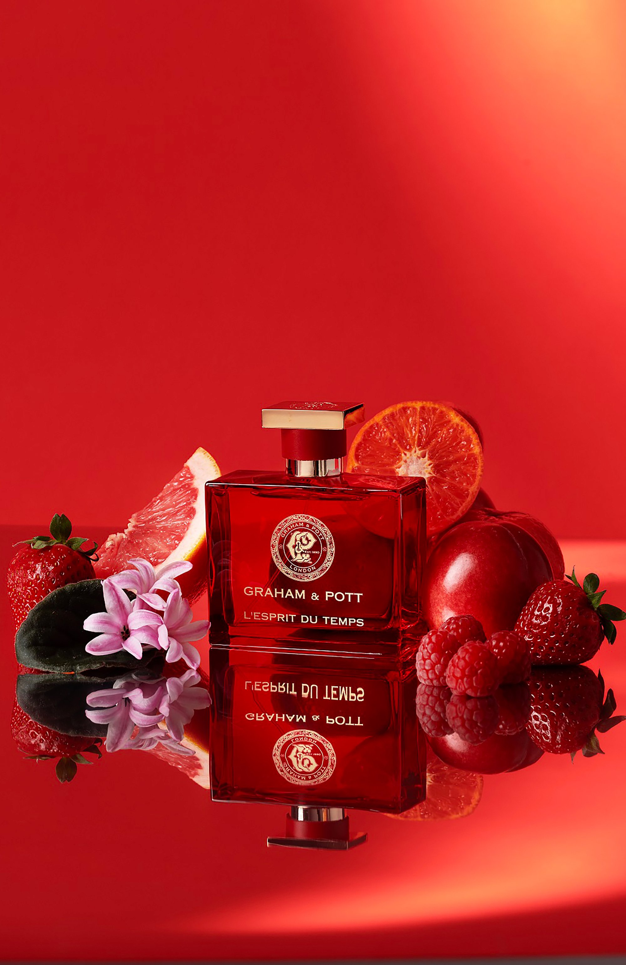 Парфюмерная вода l'esprit du temps (100ml) GRAHAM AND POTT, арт. 5060729120521, фото 3