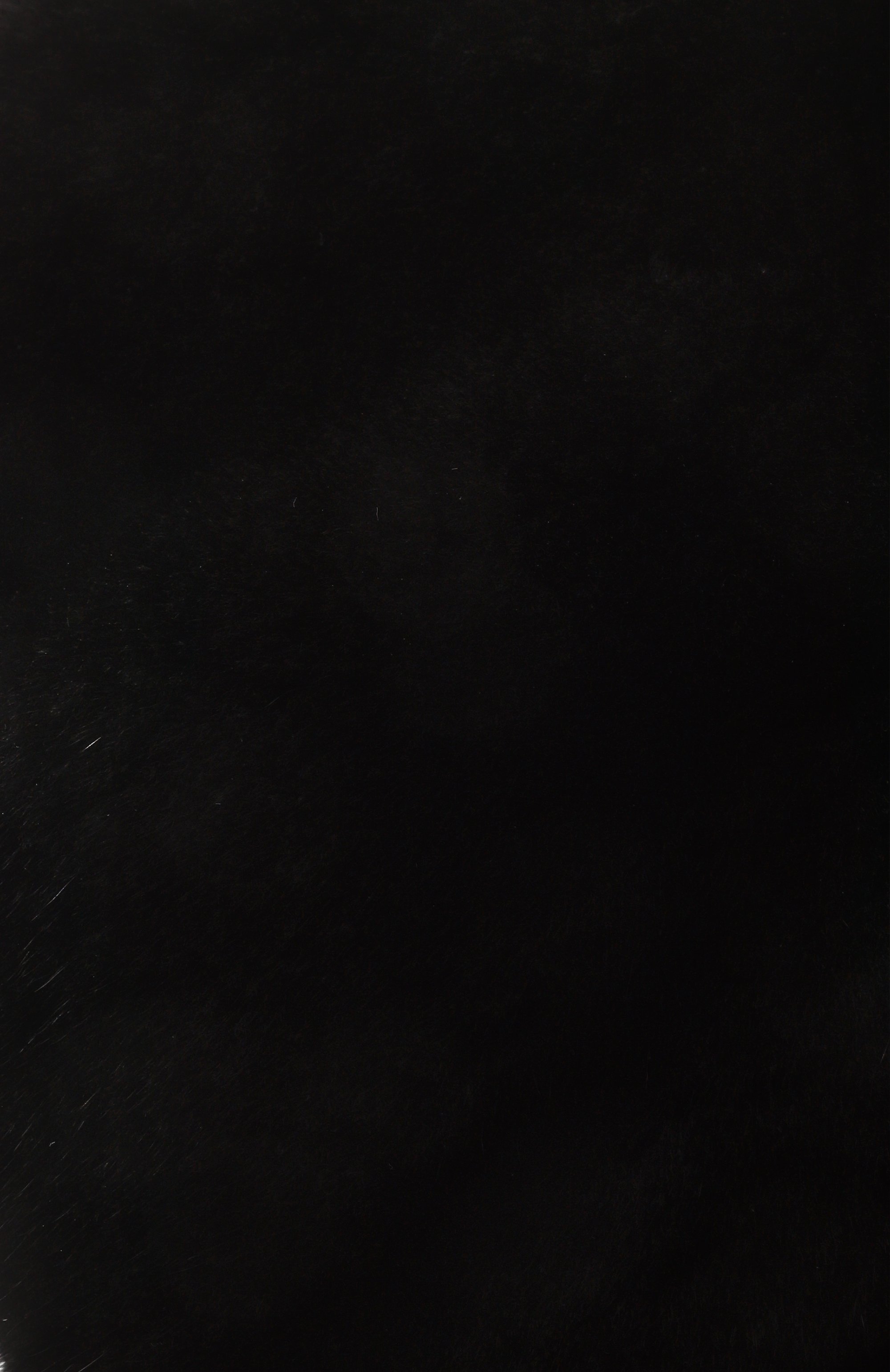 Меховой берет из норки FURLAND черного цвета по цене 83600 руб., арт. 0003800110154300000, фото 3 Меховой берет из норки FURLAND, арт. 0003800110154300000, фото 3