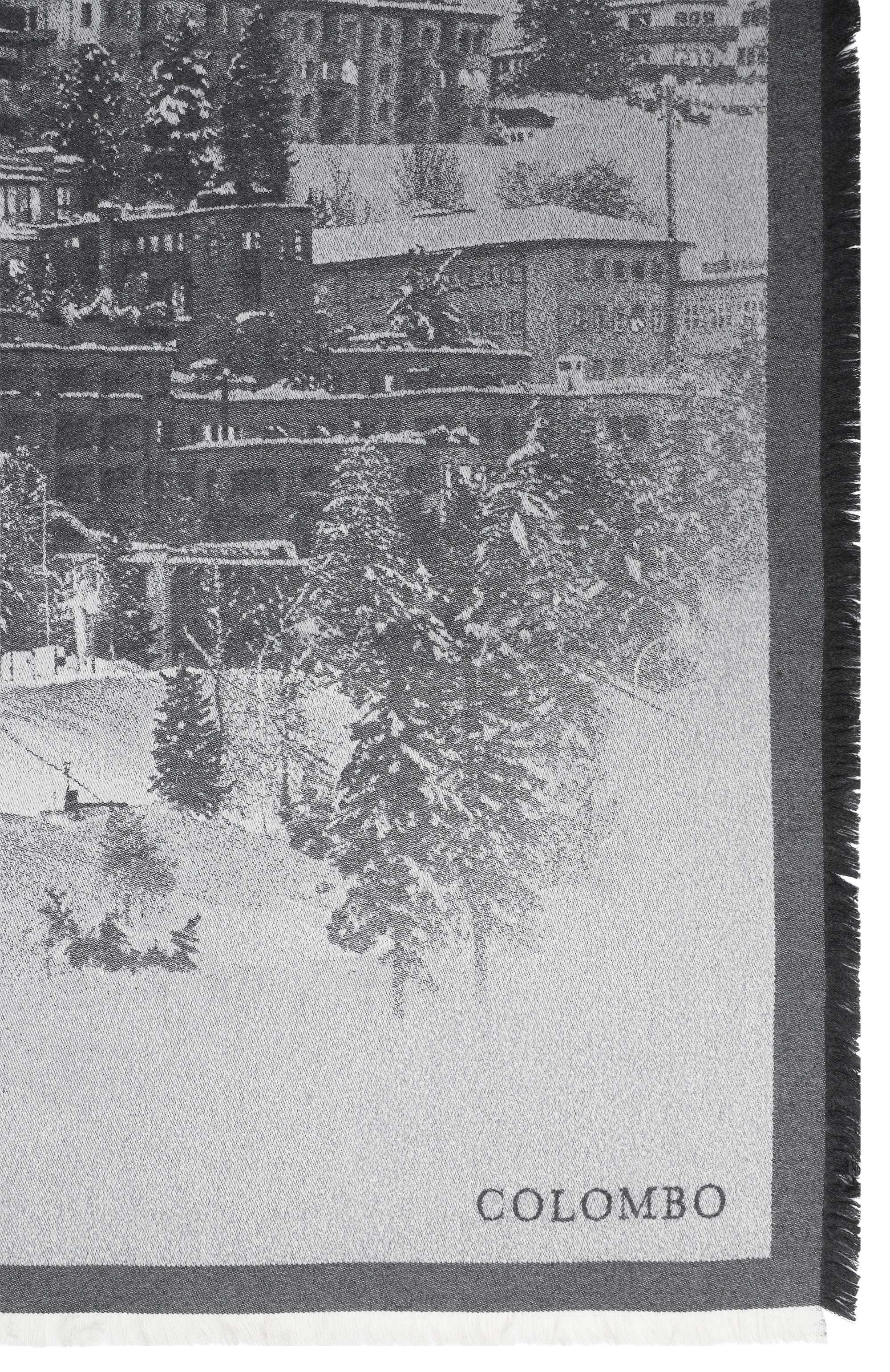 Шаль из кашемира и шелка COLOMBO серого цвета по цене 427000 руб., арт. S79/5817-RP11, фото 4 Шаль из кашемира и шелка COLOMBO, арт. S79/5817-RP11, фото 4