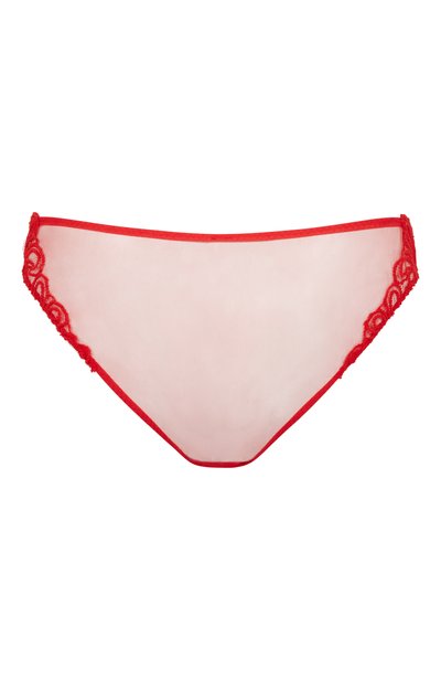 Женские классические трусы nelle AGENT PROVOCATEUR, арт. AP12655600600