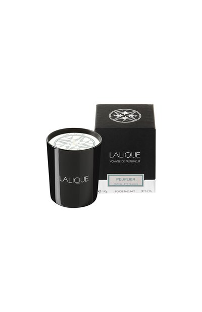 Свеча poplar aspen LALIQUE, арт. 10357200