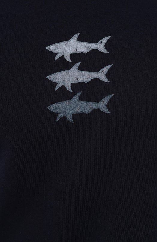 Хлопковая футболка Paul&Shark 25411005 Синий  25411005 Фото 5