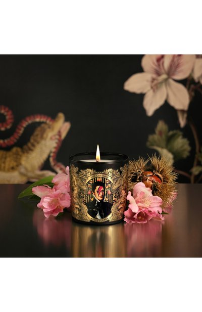 Ароматизированная свеча the courage (240g) CORETERNO, арт. CORAPH06, фото 3