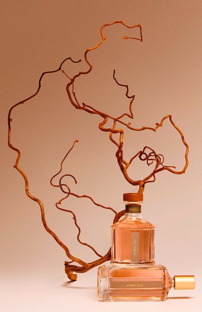 Диффузор ambra oud (1000ml) ERBARIO TOSCANO, арт. DA10AO, фото 4