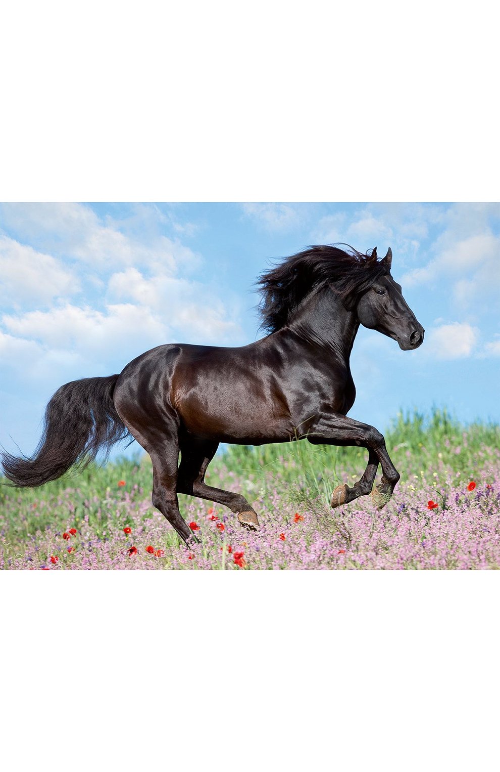 Пазл прекрасная лошадь 200 деталей RAVENSBURGER, арт. 12803, фото 1