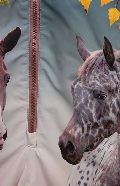 Комбинезон polar MOLO, арт. 5W24N202, фото 3