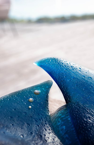 Блюдо для центра стола maya DAUM, арт. 05813, фото 4