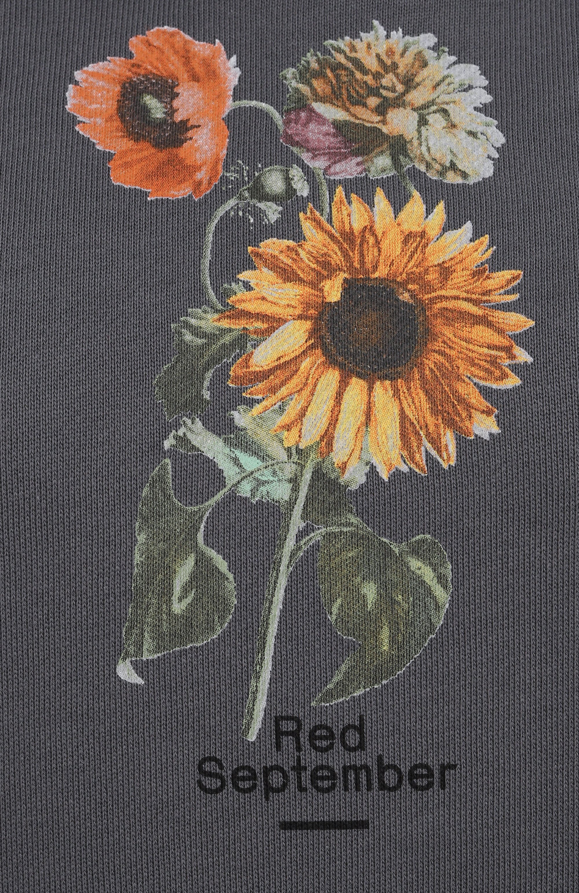 Хлопковое худи RED SEPTEMBER, арт. 225.02.HDY28.05, фото 6