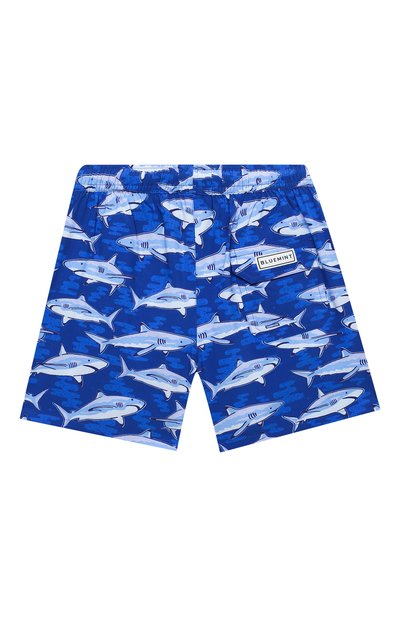 Плавки-шорты BLUEMINT, арт. ARTHUS B0Y STRETCH, фото 2