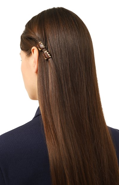 Комплект из двух заколок для волос ALEXANDRE DE PARIS, арт. ICCXS-14338-02P23 OH, фото 2