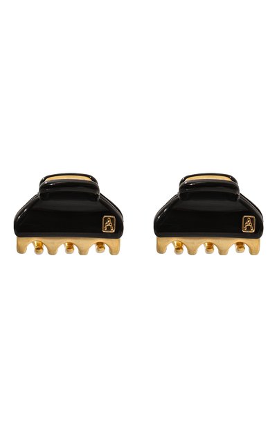 Комплект из двух заколок для волос ALEXANDRE DE PARIS, арт. ICCXS-14338-02P23 ON, фото 1