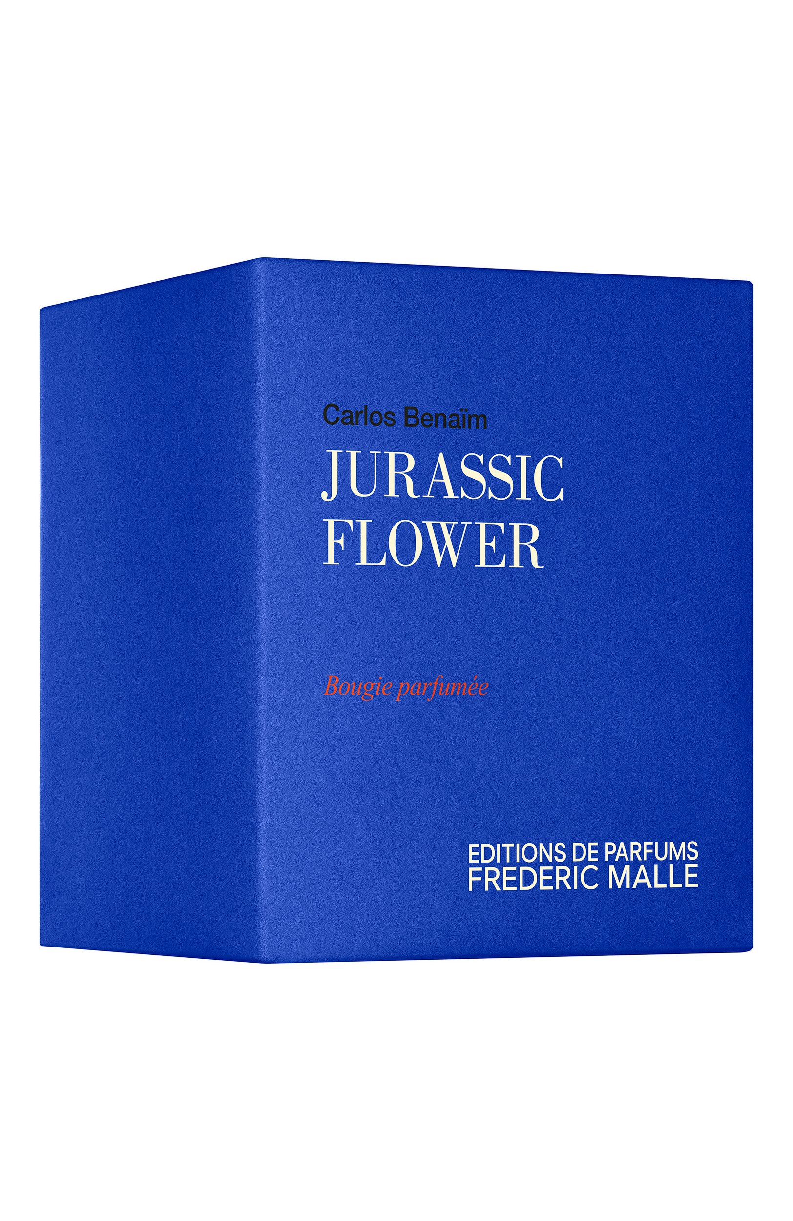 Парфюмерная свеча jurassic flower (220g) FREDERIC MALLE бесцветного цвета по цене 13900 руб., арт. 3700135022935, фото 2 Парфюмерная свеча jurassic flower (220g) FREDERIC MALLE, арт. 3700135022935, фото 2