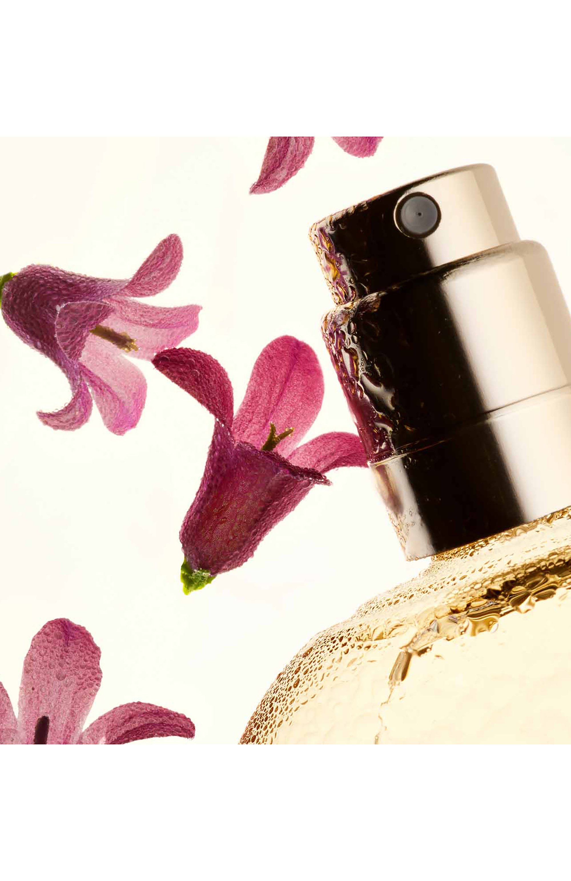 Фиксатор макияжа summer collection (50ml) CLARINS, арт. 80116290, фото 6