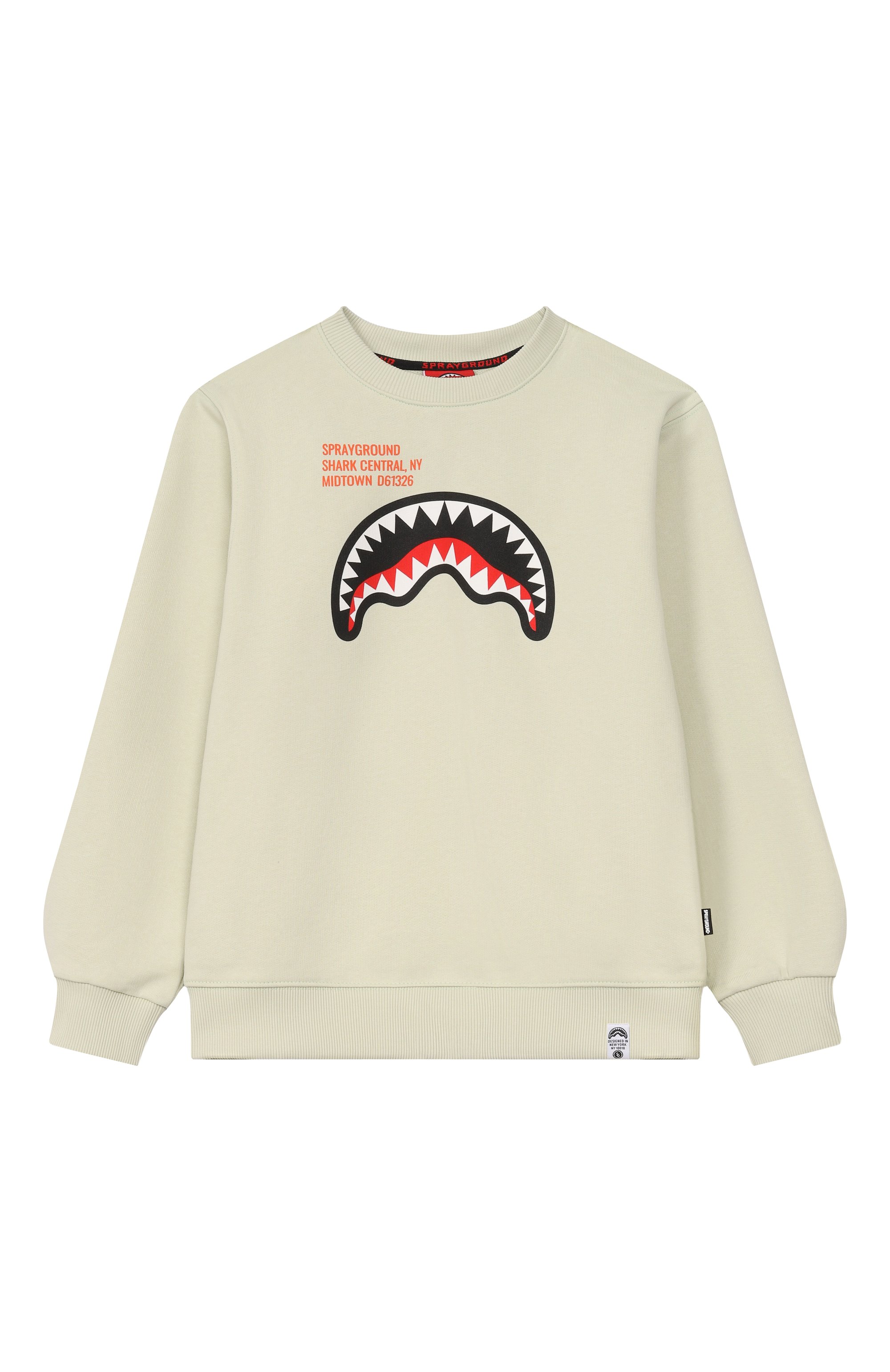 Хлопковый свитшот SPRAYGROUND, арт. SPY1386ESAGE/SHARK BASIC SAGE REGULAR CREWNECK, фото 1