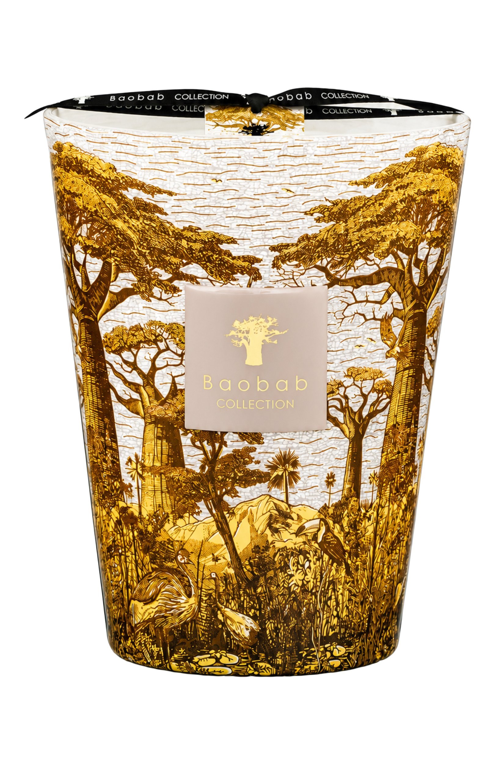 Свеча sacred trees bounkani max 24 (3000g) BAOBAB бесцветного цвета по цене 47250 руб., арт. 5415198523333, фото 1 Свеча sacred trees bounkani max 24 (3000g) BAOBAB, арт. 5415198523333, фото 1