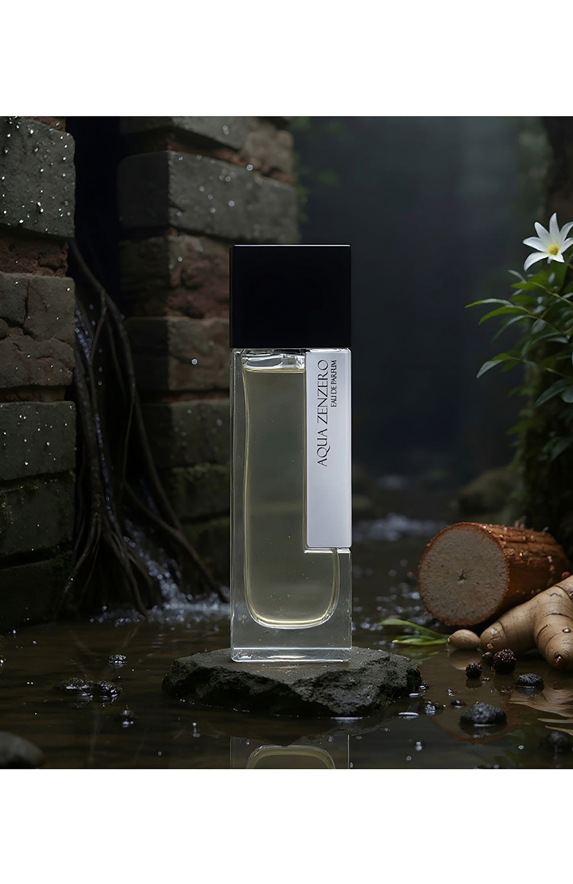 Парфюмерная вода aqua zenzero (100ml) LM PARFUMS, арт. 3760213761859, фото 2