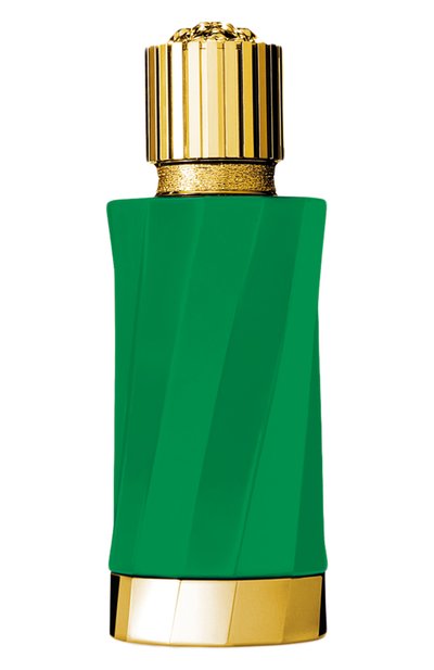 Мужской парфюмерная вода patchouli preciueux (100ml) VERSACE ATELIER, арт. 8011003893065