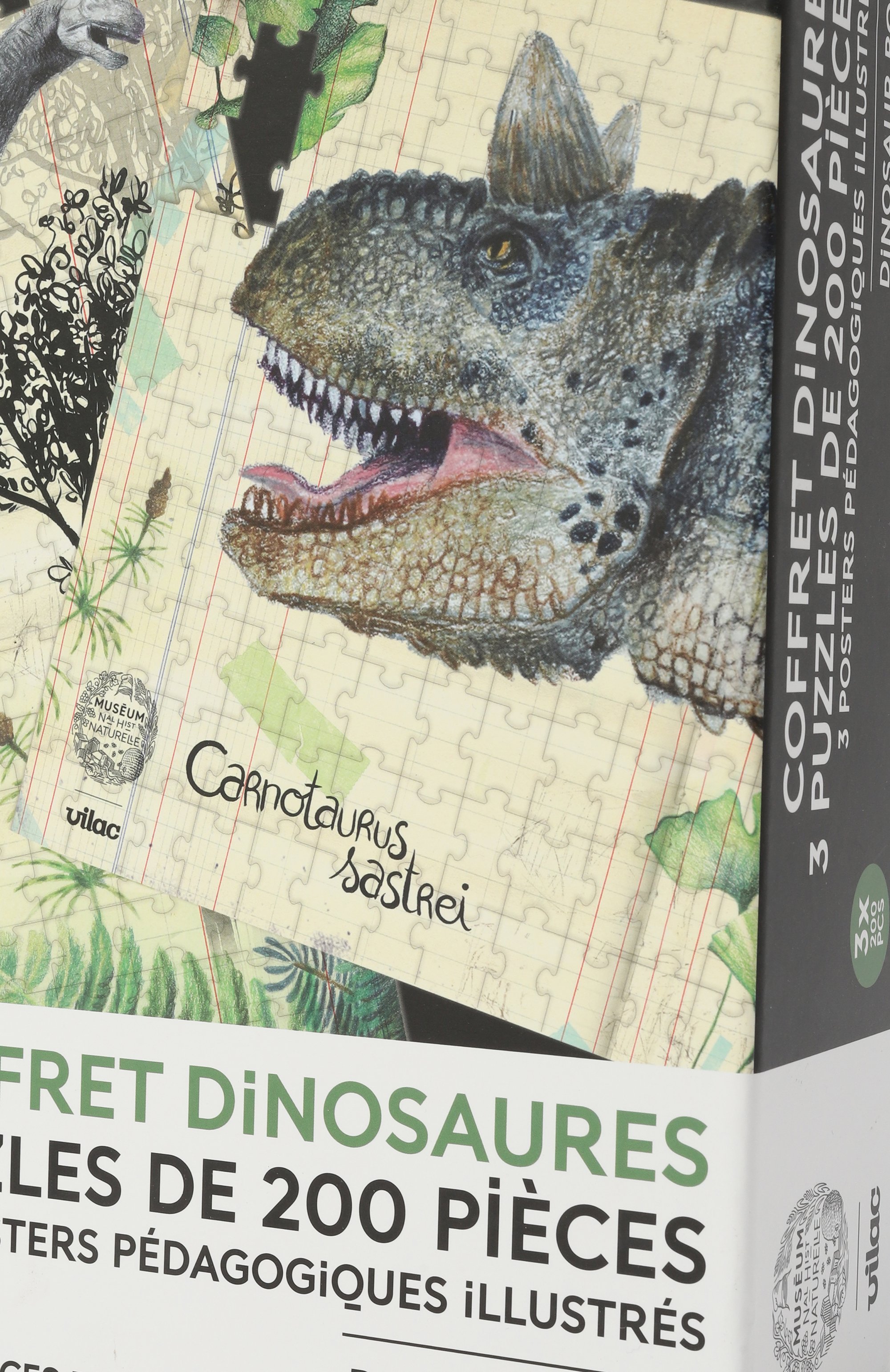 Пазл динозавры VILAC, арт. 9626, фото 3