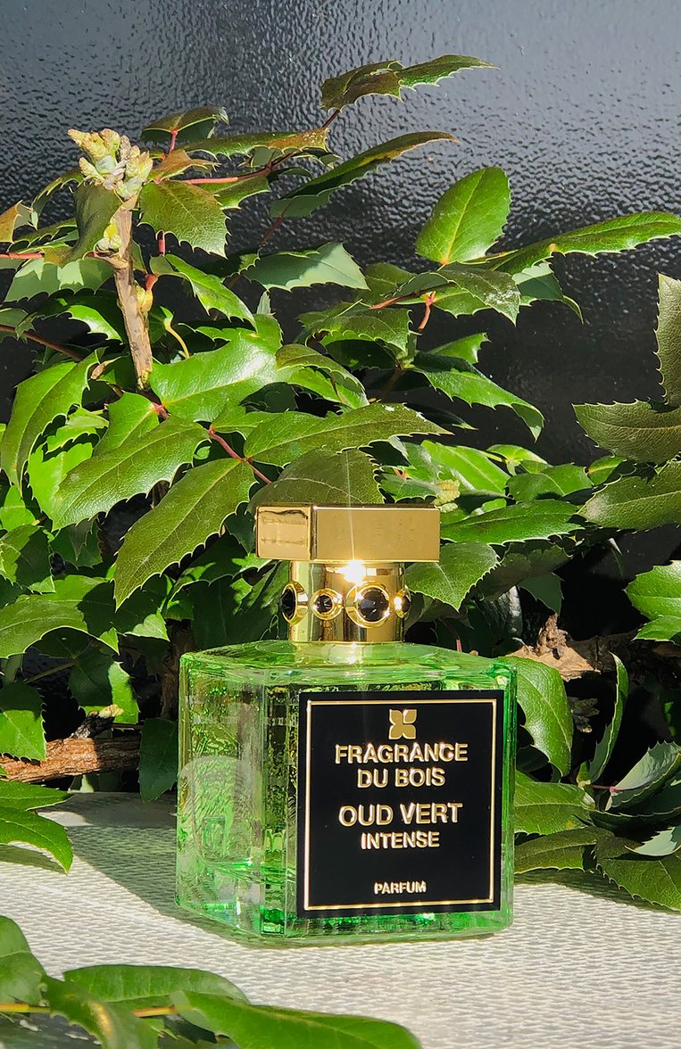 Парфюмерная вода oud vert intense (100ml) FRAGRANCE DU BOIS, арт. 5081304301005, фото 1