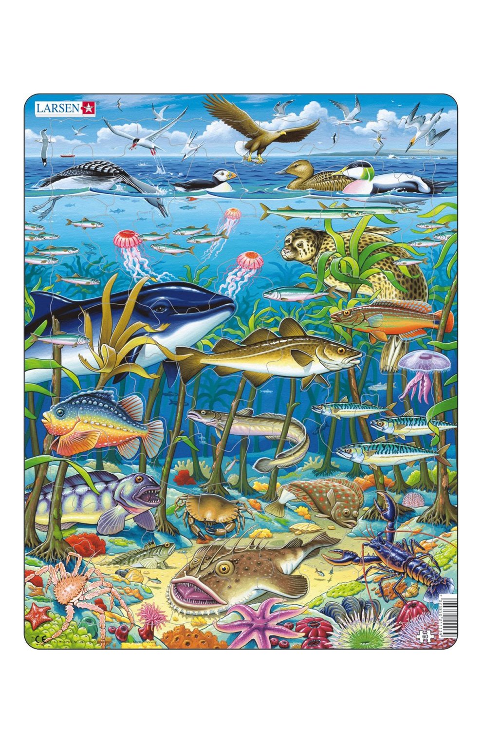 Пазл водоросли LARSEN, арт. FH13, фото 1