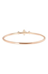 Кольцо VANRYCKE, арт. BS2R1-03, фо�то 3