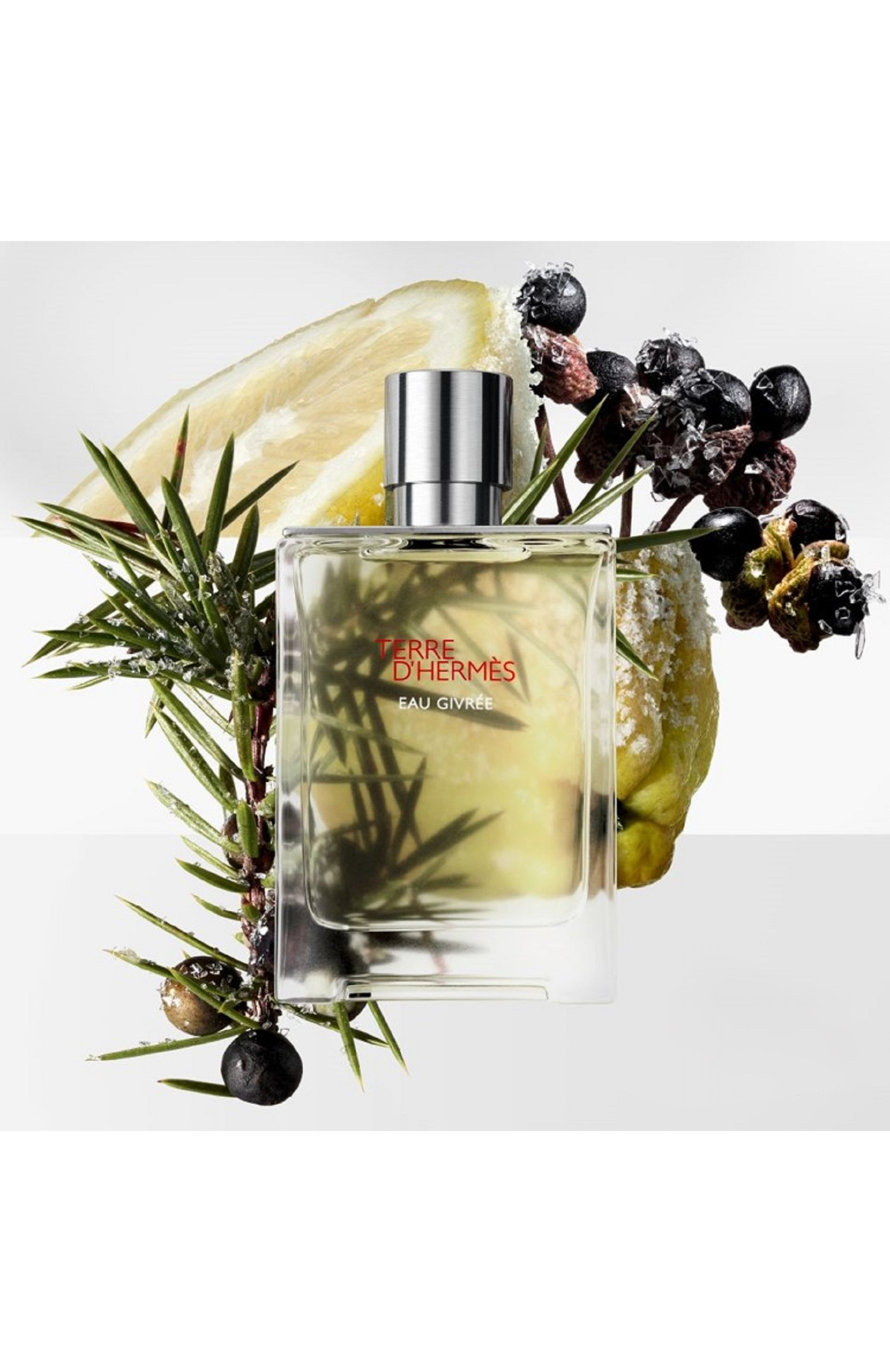 Парфюмерная вода terre d`hermes eau givree (100ml) HERMÈS, арт. 3346130012245, фото 3