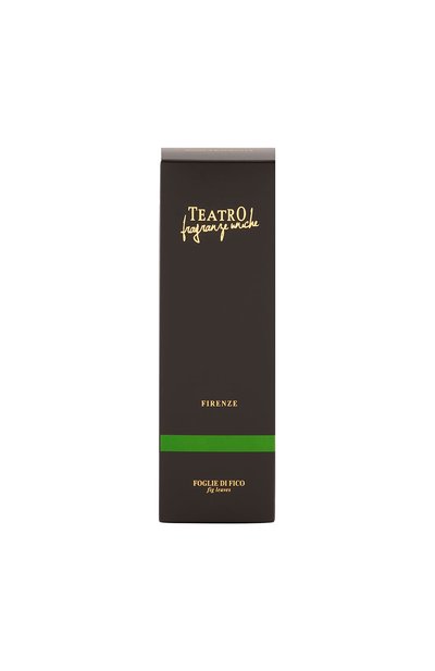 Диффузор с палочками foglie di fico (100ml) TEATRO, арт. FF100TFU, фото 2