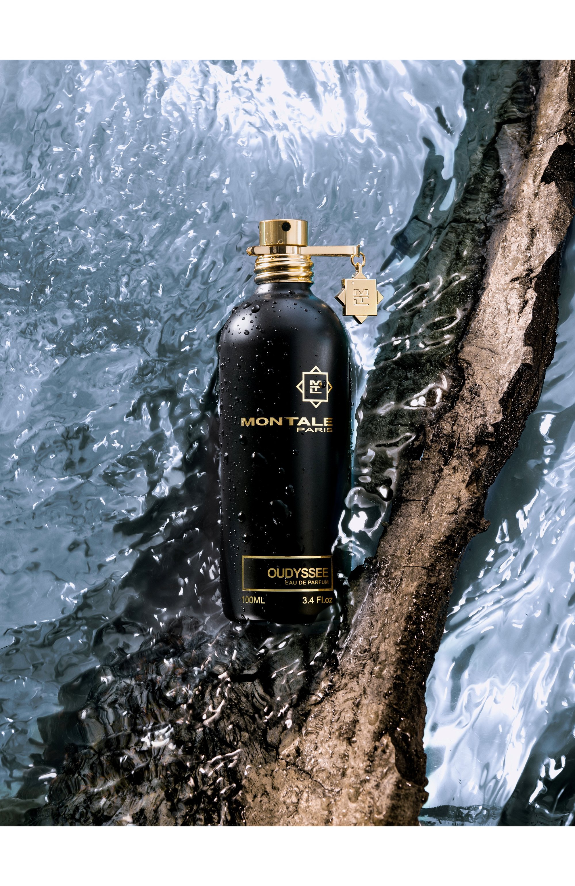 Парфюмерная вода oudyssee (100ml) MONTALE, арт. 3760260458634, фото 2