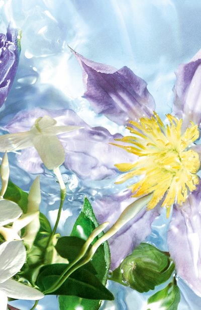 Туалетная вода aqua allegoria flora salvaggia (75ml) GUERLAIN, арт. G014285, фото 4
